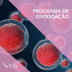 Read more about the article Programa de ovodoação