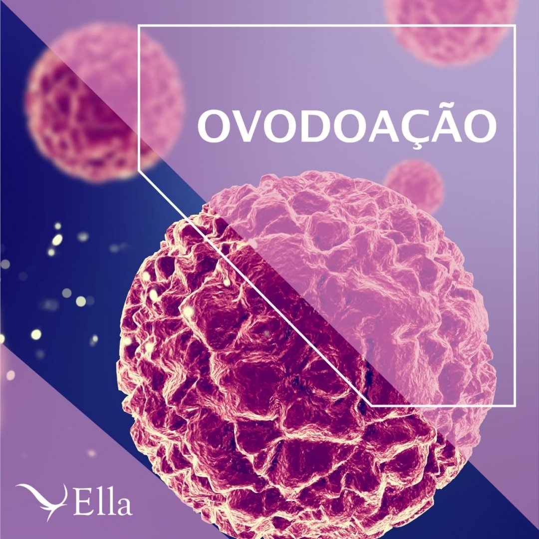Read more about the article Ovodoação