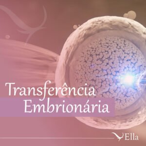 Read more about the article Transferência embrionária